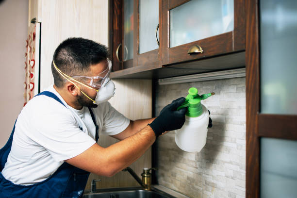 Best Pest Prevention Services  in Bayonne, NJ
