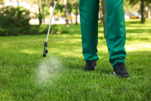 Best Exterminator Services  in Bayonne, NJ