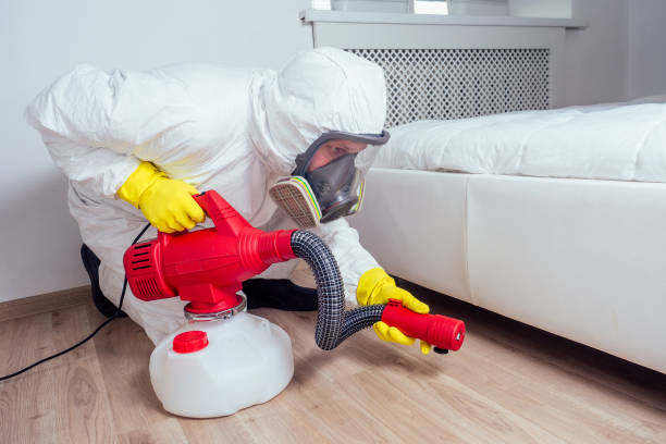 Best Pest Control for Restaurants  in Bayonne, NJ