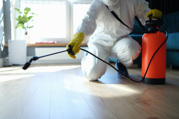 Best Best Pest Control Companies  in Bayonne, NJ