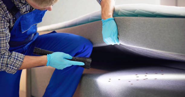 Best Termite Control Services  in Bayonne, NJ