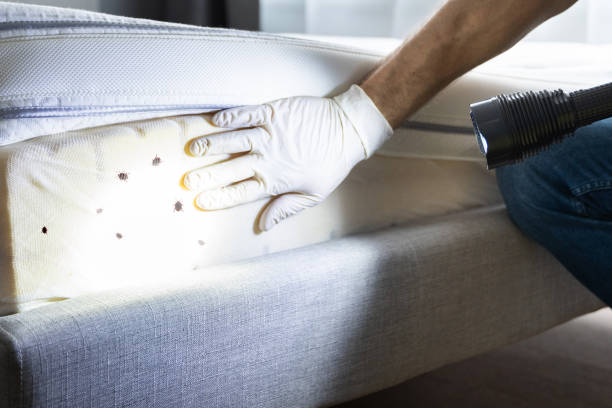 Best Mosquito Control Services  in Bayonne, NJ